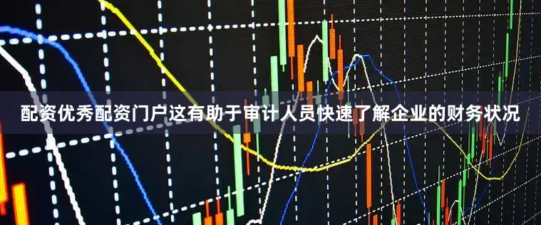配资优秀配资门户这有助于审计人员快速了解企业的财务状况