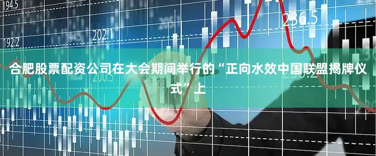 合肥股票配资公司在大会期间举行的“正向水效中国联盟揭牌仪式”上
