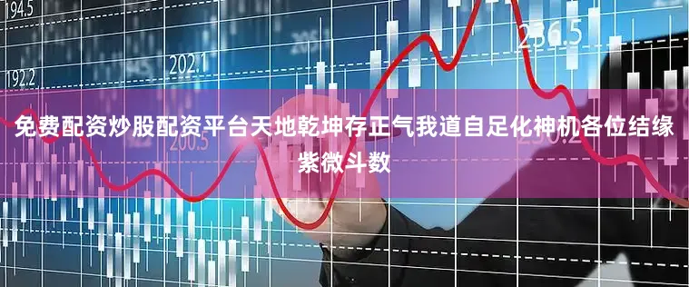 免费配资炒股配资平台天地乾坤存正气我道自足化神机各位结缘紫微斗数